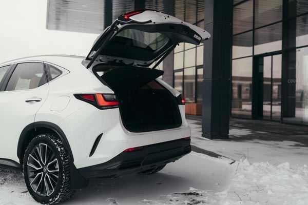 Тест-драйв Lexus NX